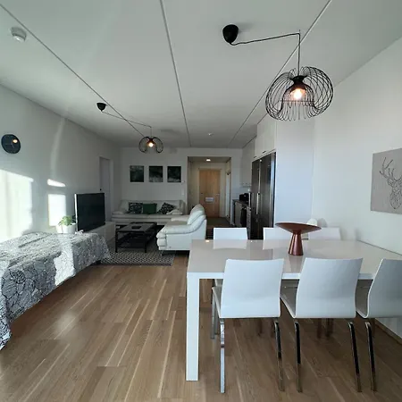Two Bedroom Sea View Sauna Warm Stable Charging 아파트 오울루